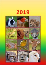 Tier_Kalender_2019_7.pdf